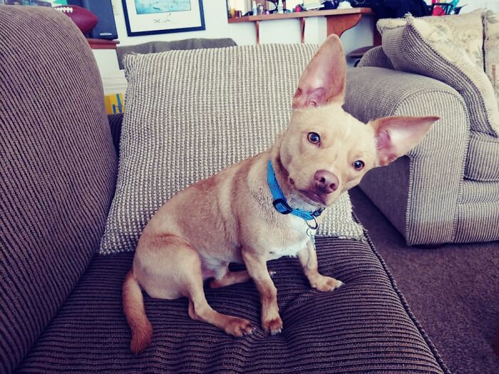 What Did You Say? Now I'm Listening...