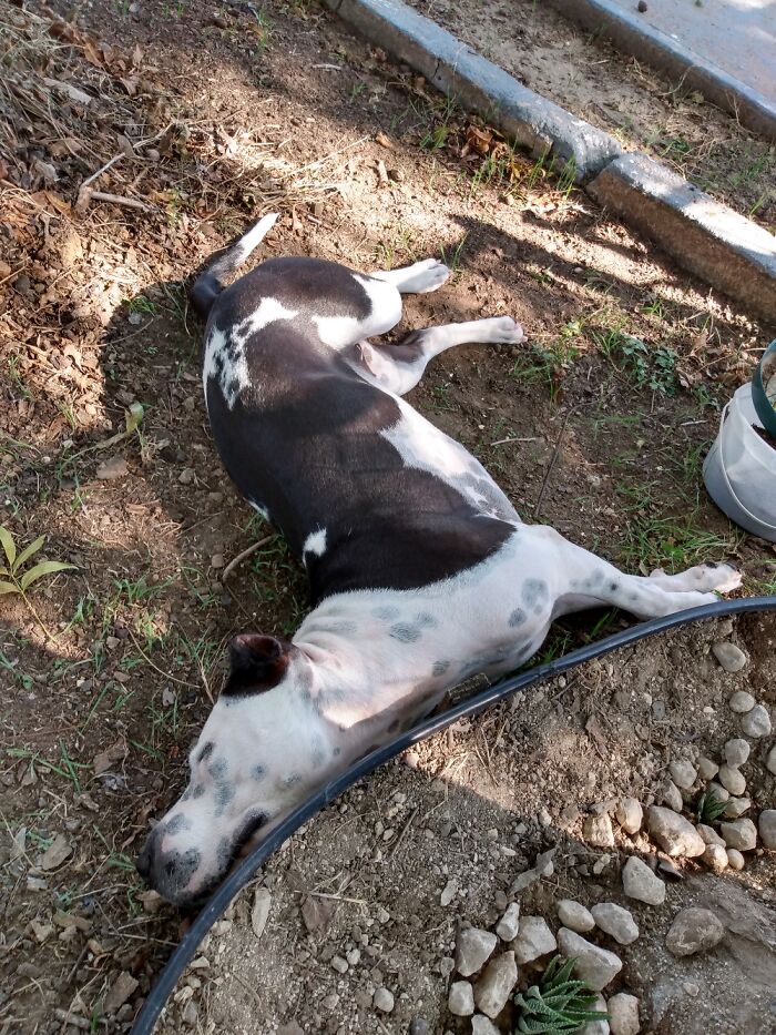 My Lil Yogi Guru☺️