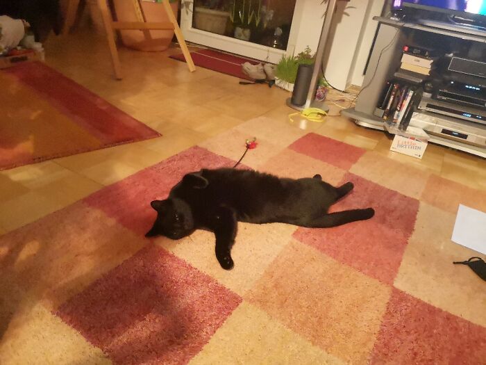 Forward Or Backwards?