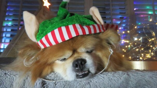 Christmas Shopping Is Exhausting