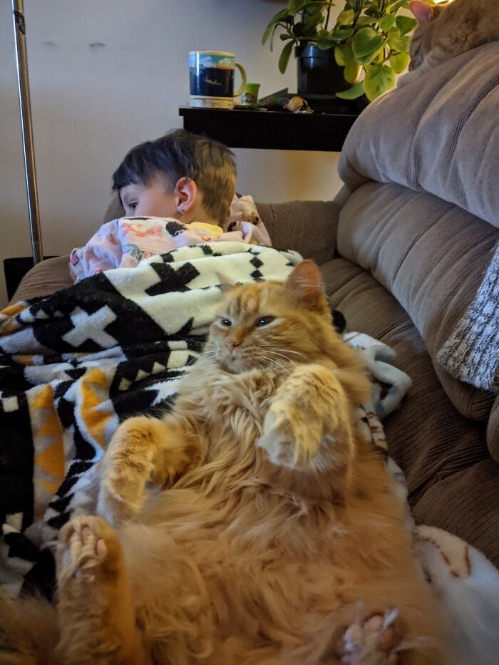 All Because She Wants Tummy Rubs!