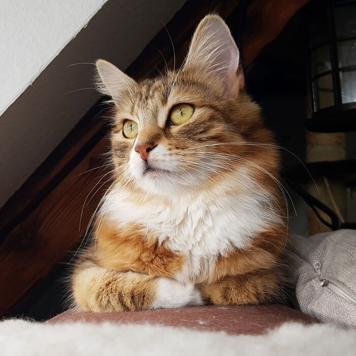 One Of The Few Beautiful Pictures Of Her