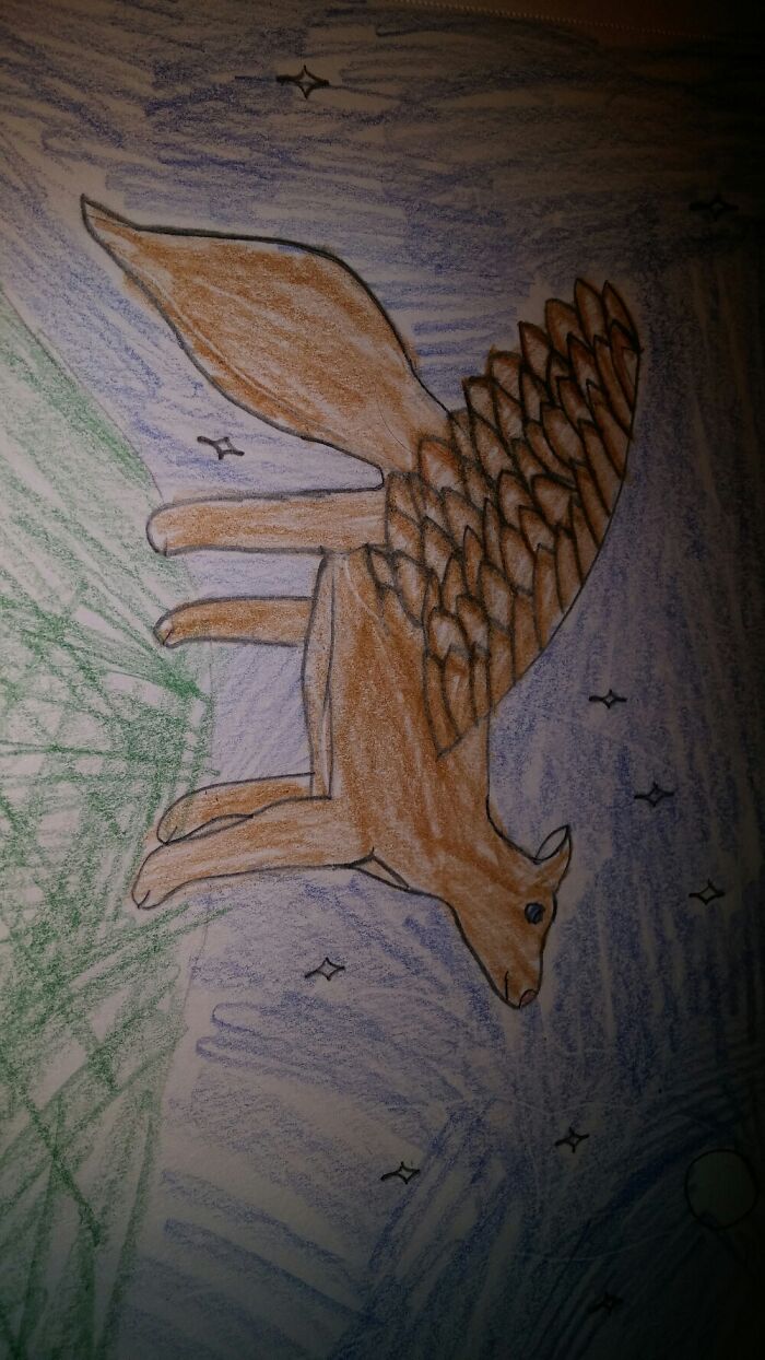 Fox/Eagle/Wolf. Yes, She Is Sideways.