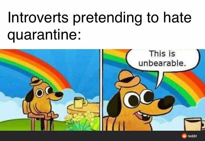 This Makes Me Laugh Every Time