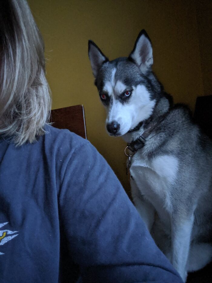 Ever Get The Feeling Someone Is Watching You?...