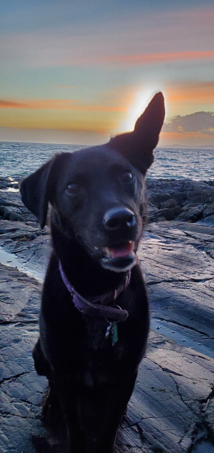 When The Sun Sets Behind Nica And The Wind Blows Her Ear Up, I Get This Year's Money Shot