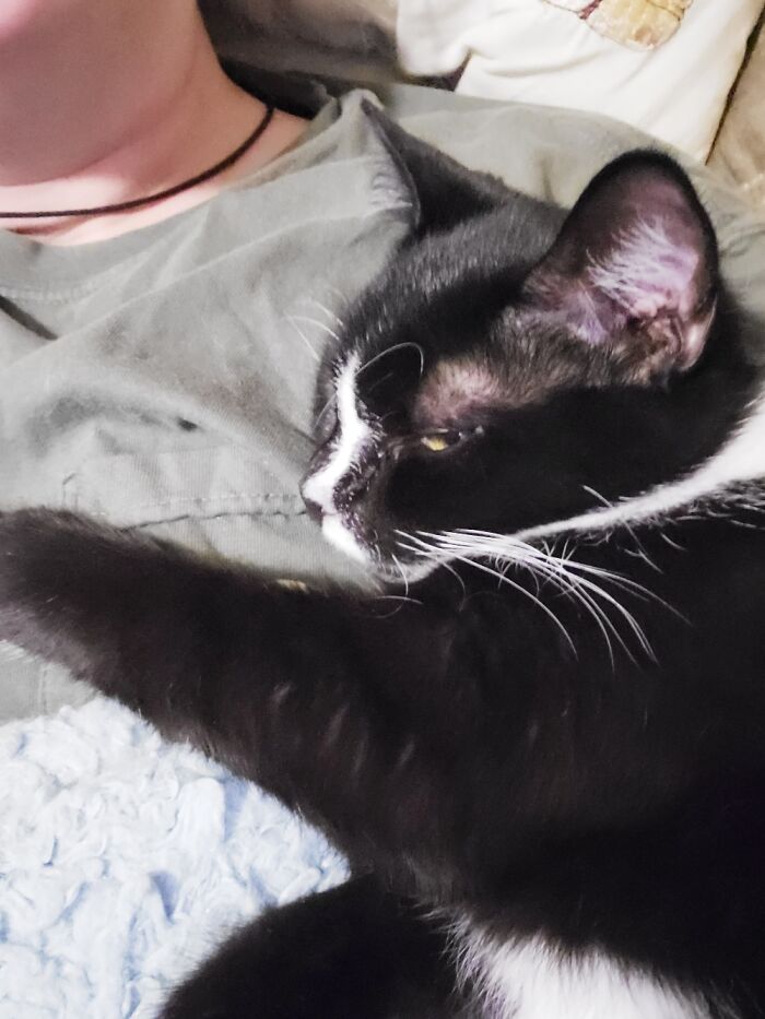 Zim Is Not Happy I Disturbed His Sleep