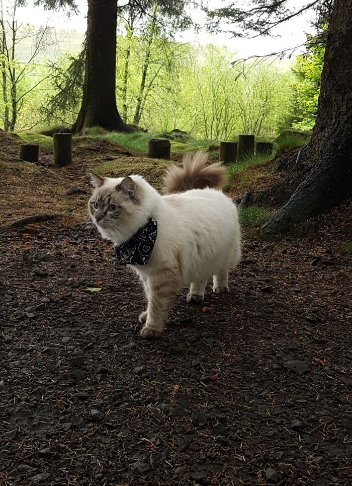 One Of His Best Pictures