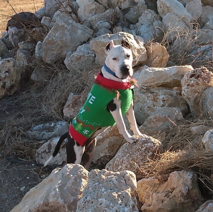 My Lil Babygirl On Our Hike Today