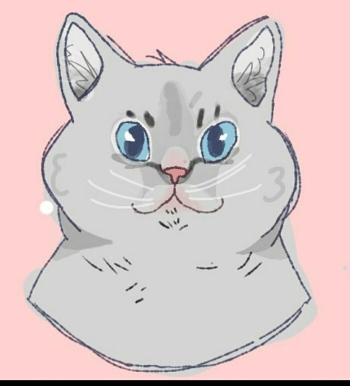 A Drawing Of My Lovely Fluffy Cat, Skittles :)