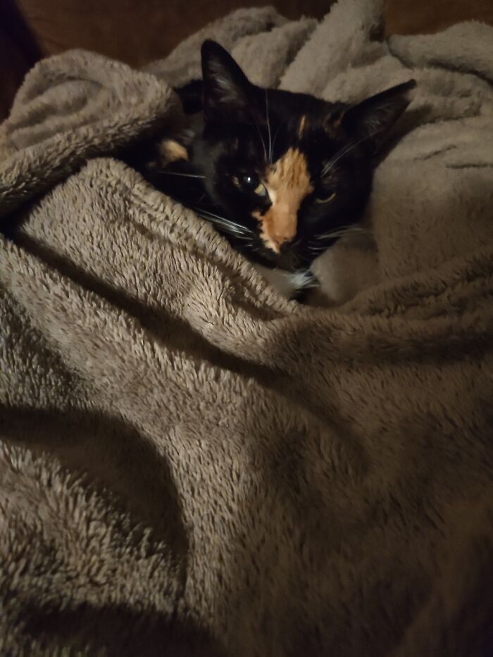 It's Winter And She Wants Some Warmth