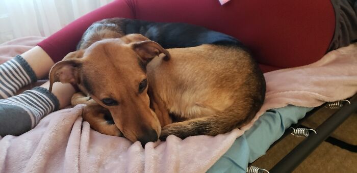 She Always Reminds Me Of A Little Bundled Up Dragon When She Does