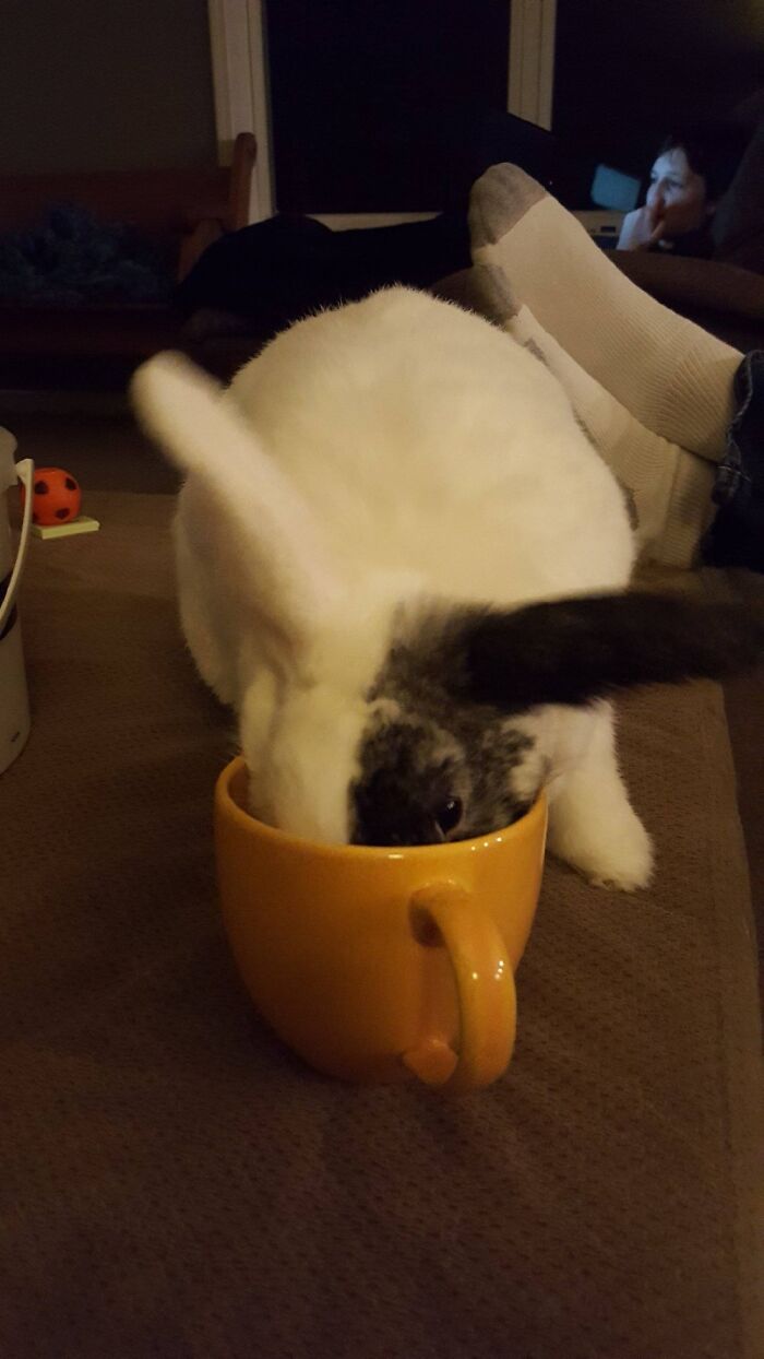 Theres Nothing In The Cup, She Just Did This