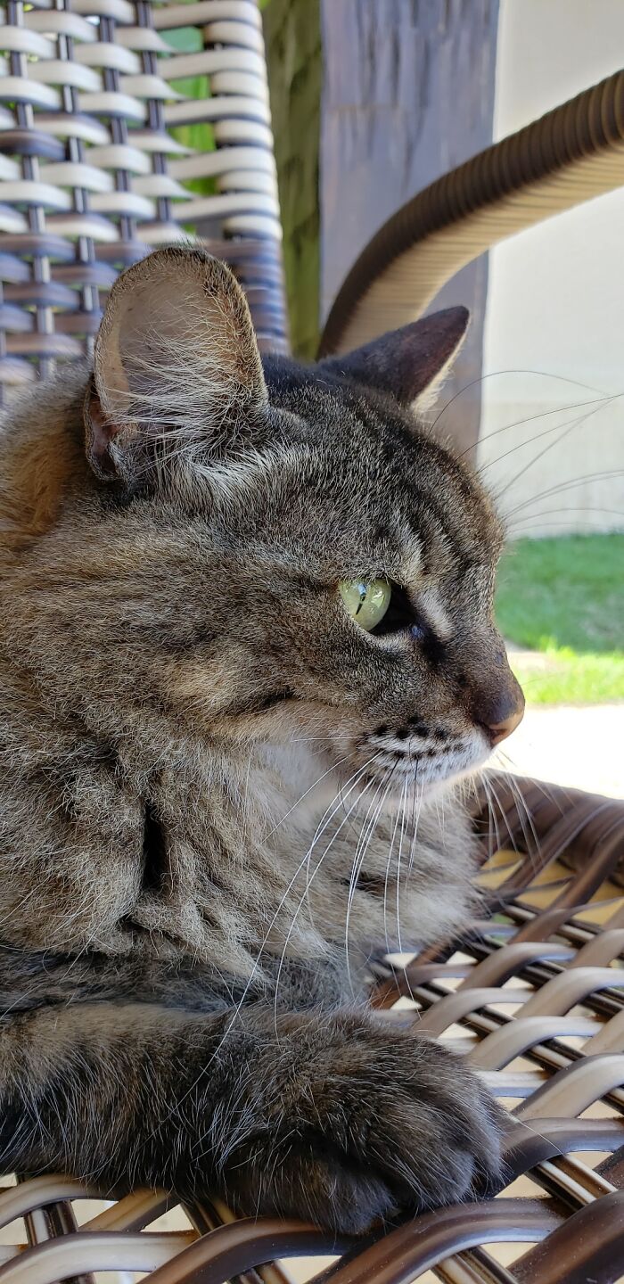 Pandas.. Meet Nina. From Feral To Bossy