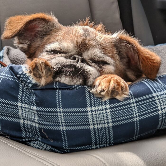 Quarantine Hairstyle