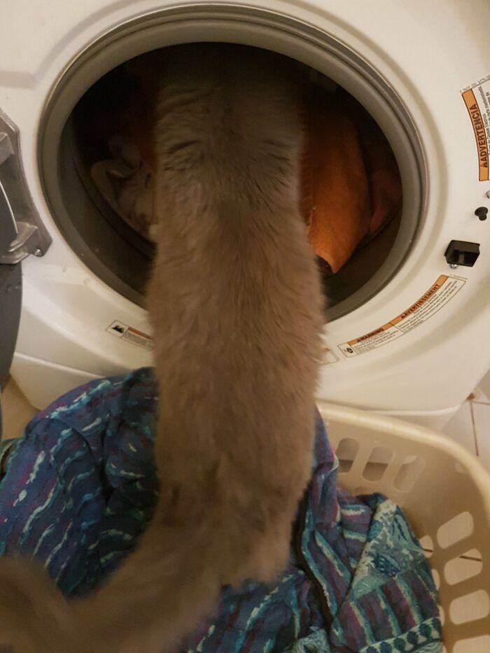 Hey, What's In Here?