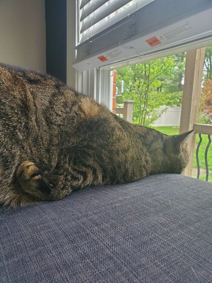 He Look Like Snail Creature