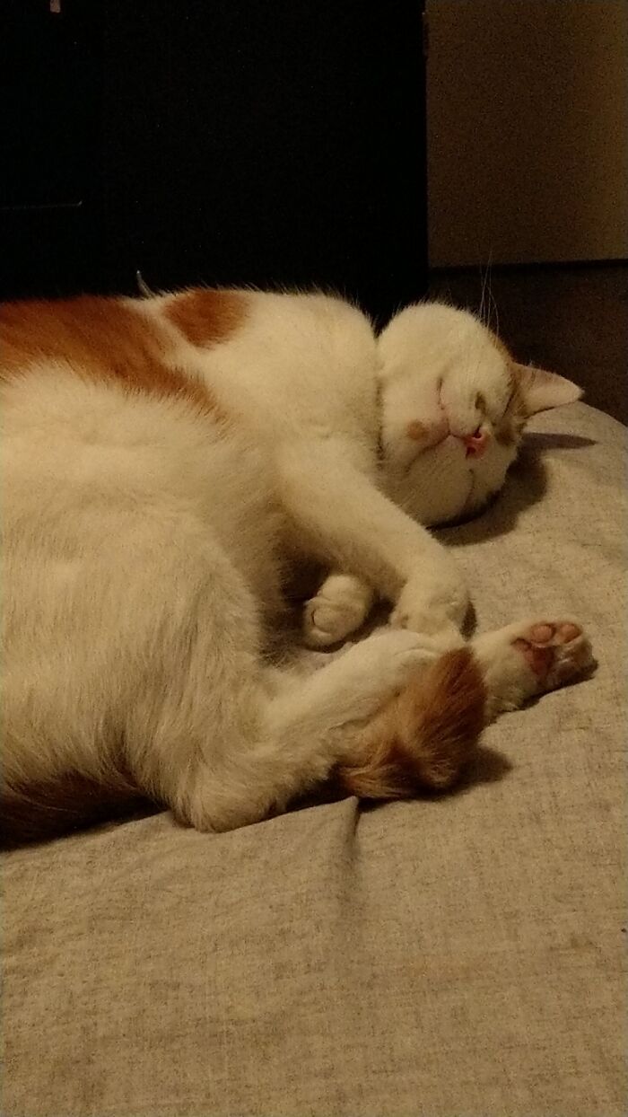 Smiling Obi Wan Kittnobi