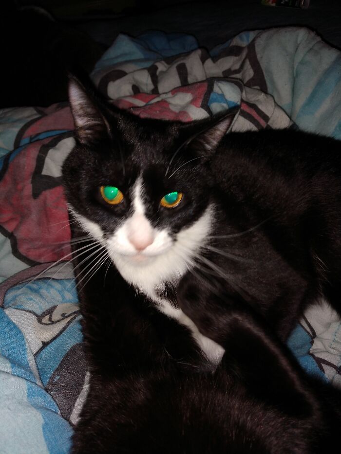 This Is Ollie And I Interrupted Bath Time