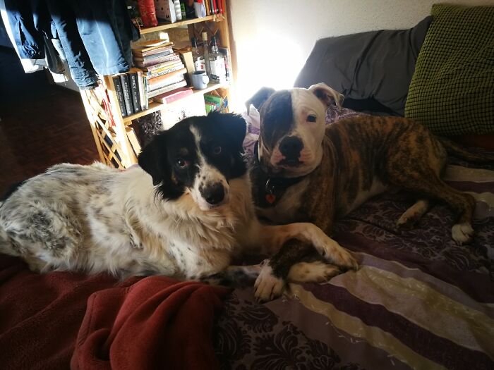 Dexter And Pablo, Our Beautiful Boys.