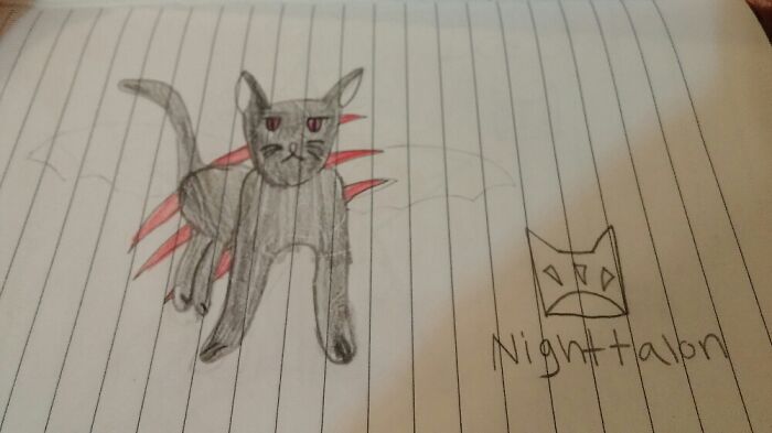 Art And Drawing. (This Is My Warriors Oc)