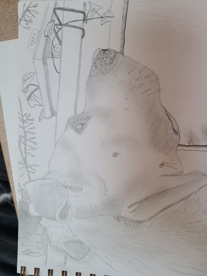 In All Fairness, I've Had A Lot Of Practice {sorry It's Crooked}