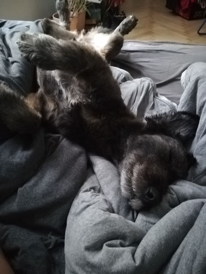 Best Boy Sleeping :)