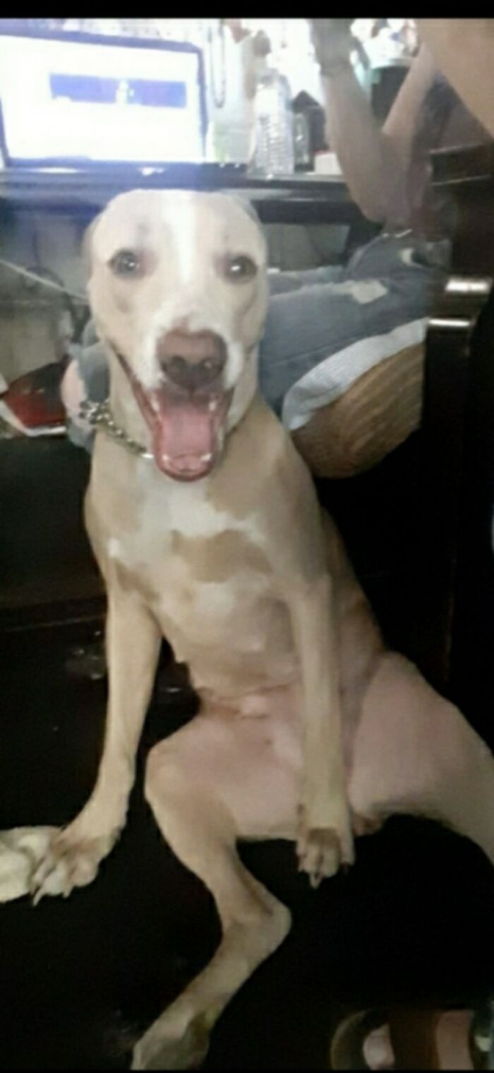 She Got To Hang Out With The Big Kids. So Happy!