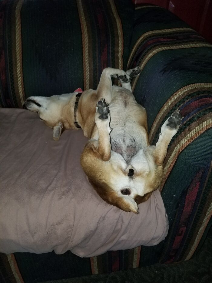 I Keep Thinking She Has To Have A Head Ache When She Wakes Up!