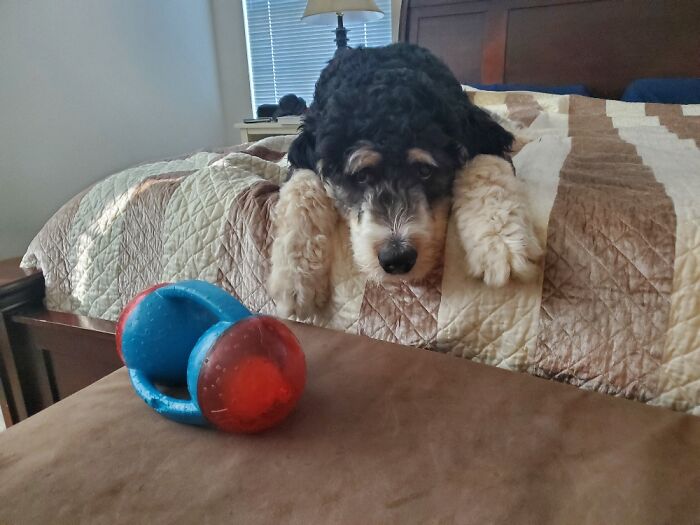 It's Too Far To Reach!