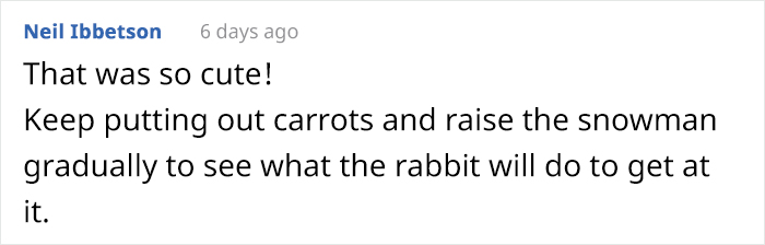 Over 64K People On YouTube Can't Get Enough Of This Video Capturing A Bunny Chomping A Snowman’s Carrot Nose