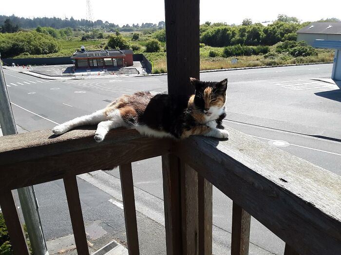 A Little Post Lunch Posing