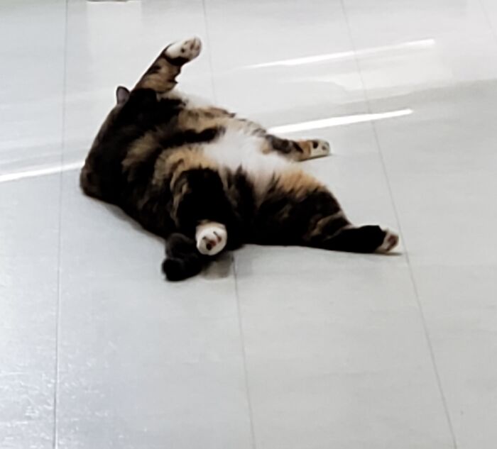 No! Wait...oh, Nevermind...