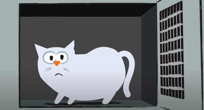 Adorable Short Animation Shows How A Furry Friend Can Help Get Through Tough Times Adorable Short Animation Shows How A Furry Friend Can Help Get Through Tough Times