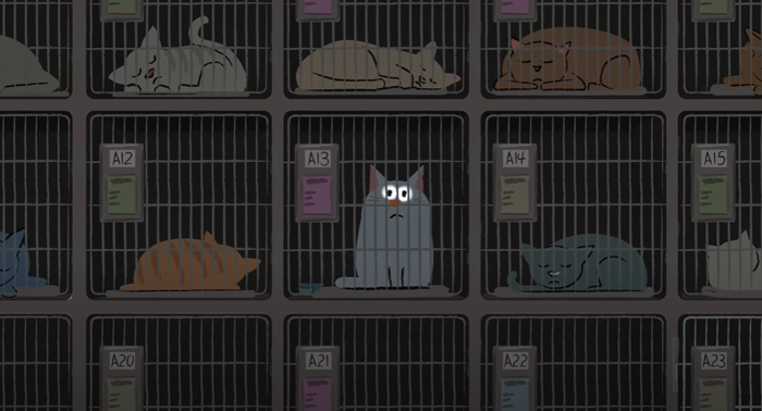 Adorable Short Animation Shows How A Furry Friend Can Help Get Through Tough Times Adorable Short Animation Shows How A Furry Friend Can Help Get Through Tough Times