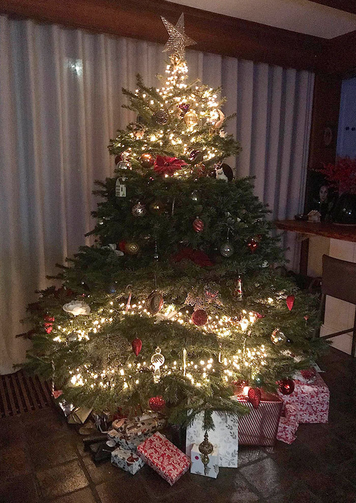 So Just A Few Days Before Christmas The Middle Strand Of Lights Broke Down In Our Fully Ornamented Tree