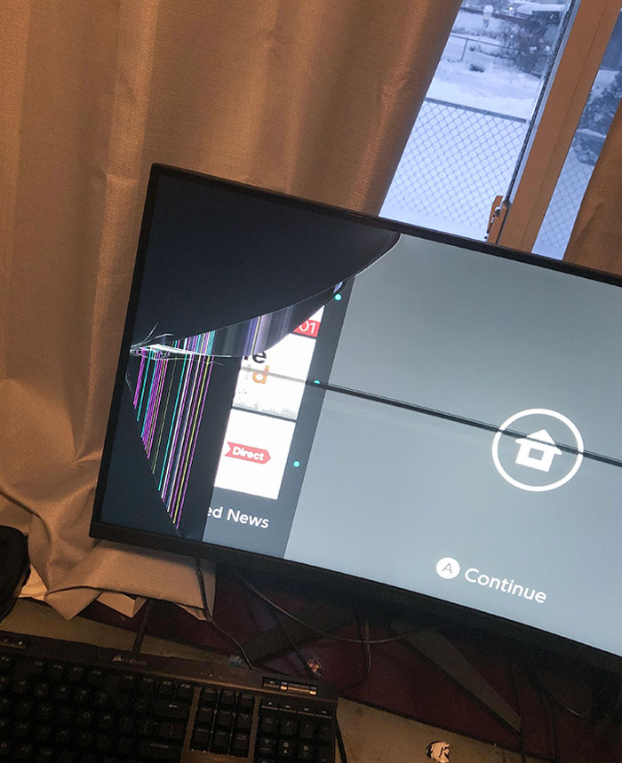 One Of My Cats Gave Me A Fantastic Christmas Present Today