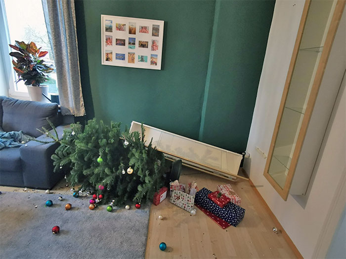 Got My Positive Corona Results On Sunday, Today My Cupboard All Of A Sudden Decided To Ejaculate All Of Its Glasses Into The Christmas Tree. 2021 Here We Come