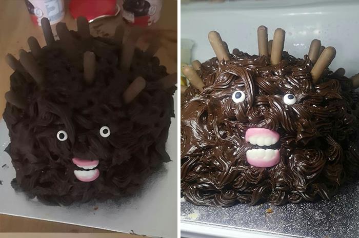 Hedgehog-Cake-Fails