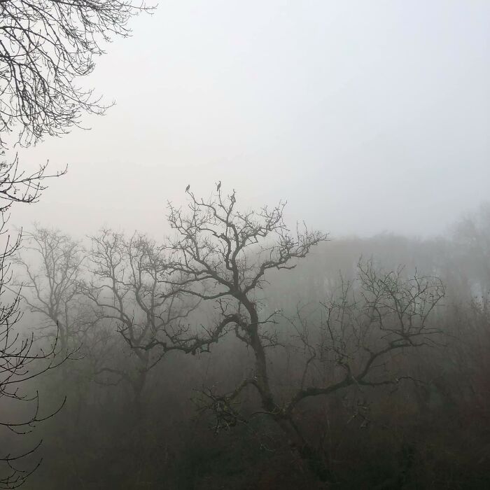 Posted This On A Bird Watching Group Thinking It Was A Cracking Photo. Not A Single Person Liked It At All. Must Be Crapper Than I Thought