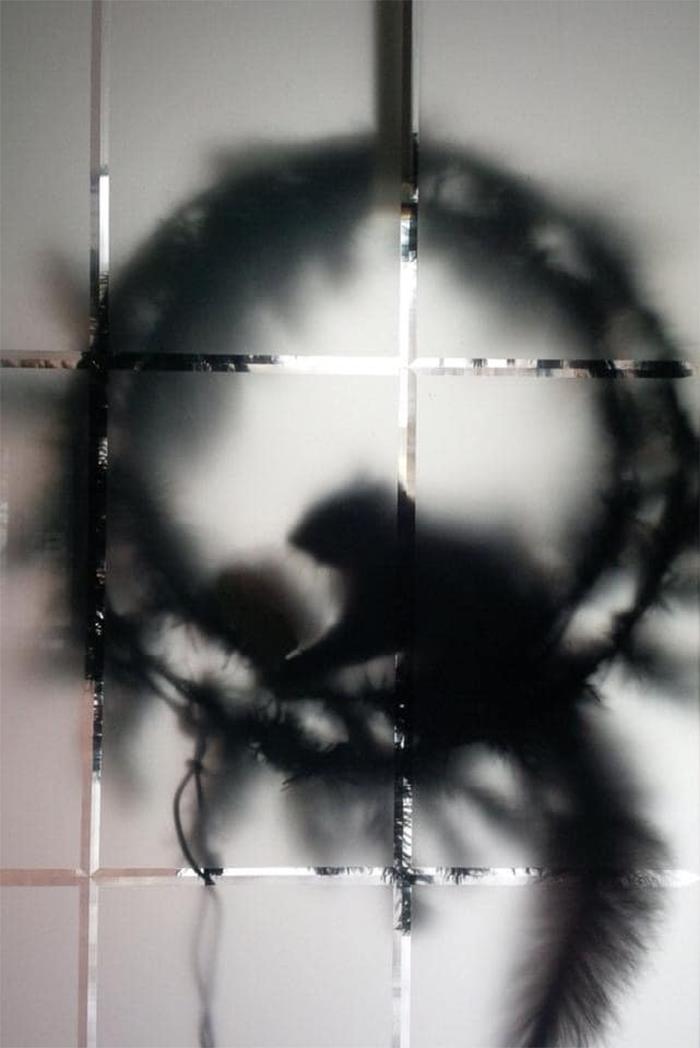 I Know My Memory Isn’t What It Used To Be But I Could Swear That Wasn’t There When I Hung Up The Wreath