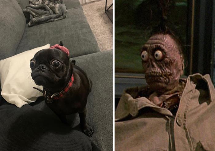 Hope U Enjoy Fig’s Take