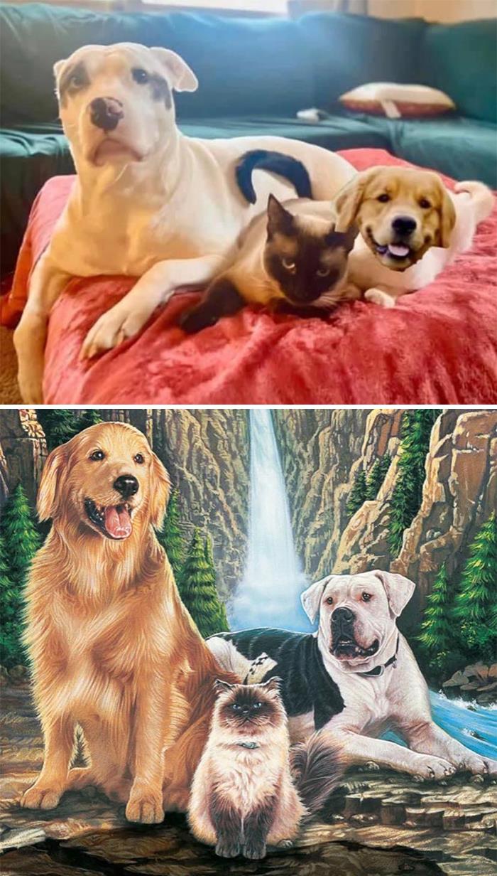 I Have The Off Brand Homeward Bound Crew