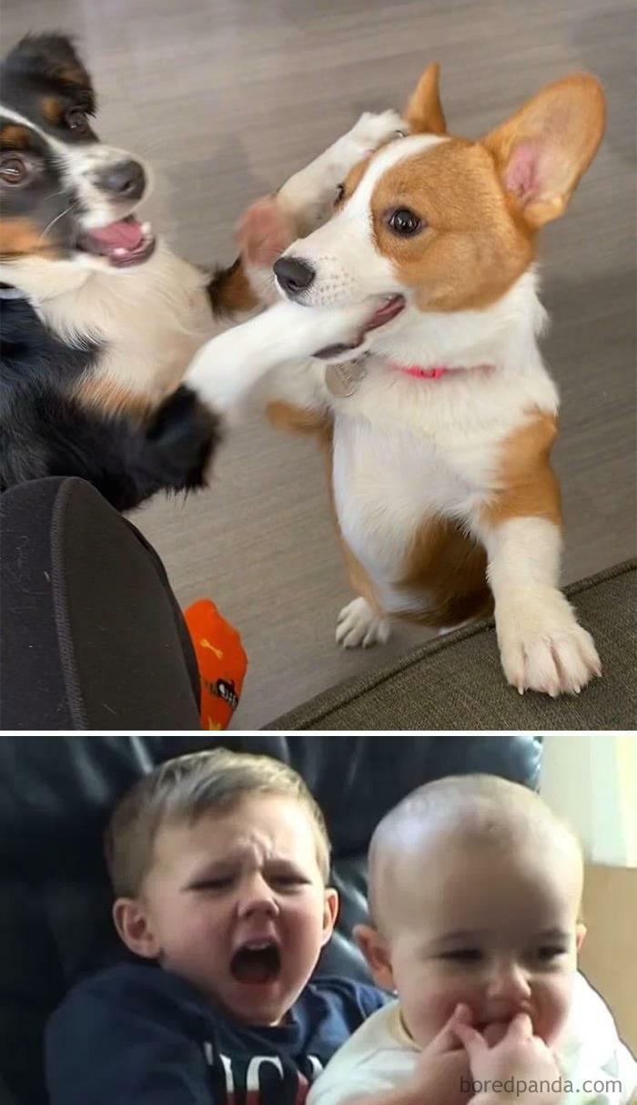 And Her Name Is Charlie!