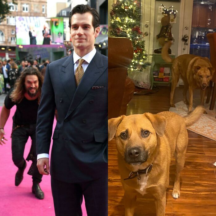 He’s Got Something Planned