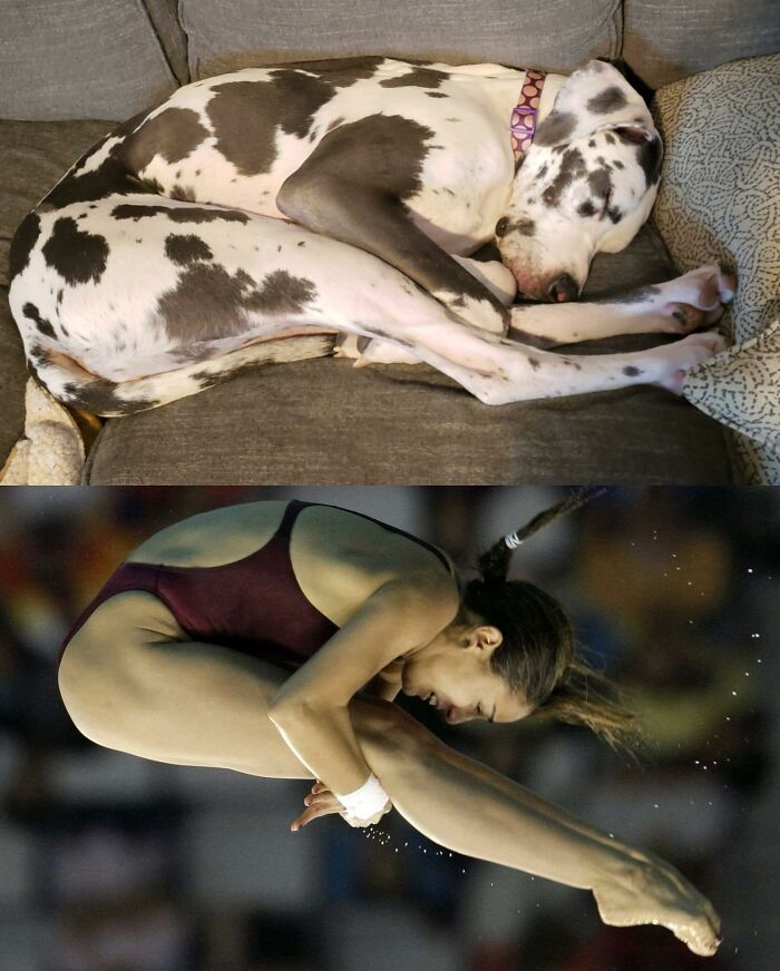 9.9 Out Of 10. Her Form Needs Some Work