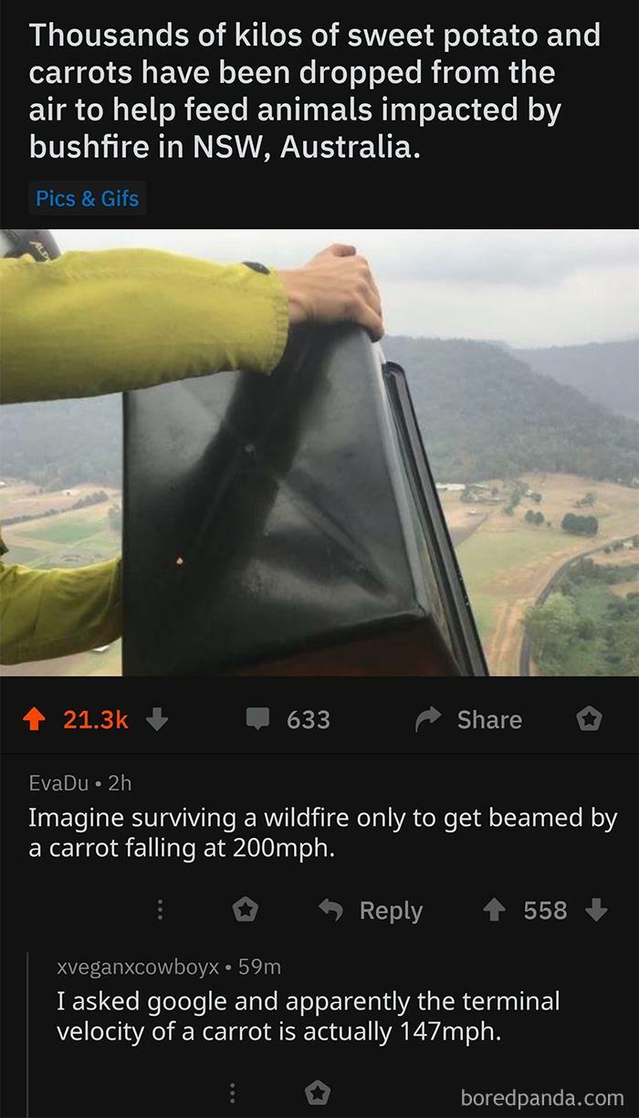 The Force Of A Carrot Falling At Terminal Velocity