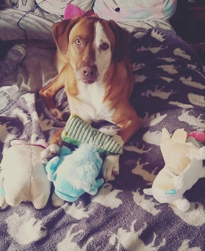 Mune Got New Toys! Had To Share The Moment!