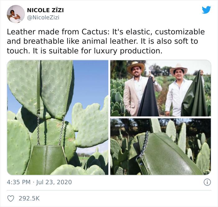 I Want And You Do Too