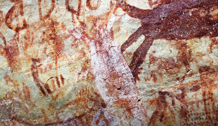 8 Miles Of Prehistoric Paintings Is Discovered In Remote Amazonia And It Showcases Animals That Are Long Gone By Now